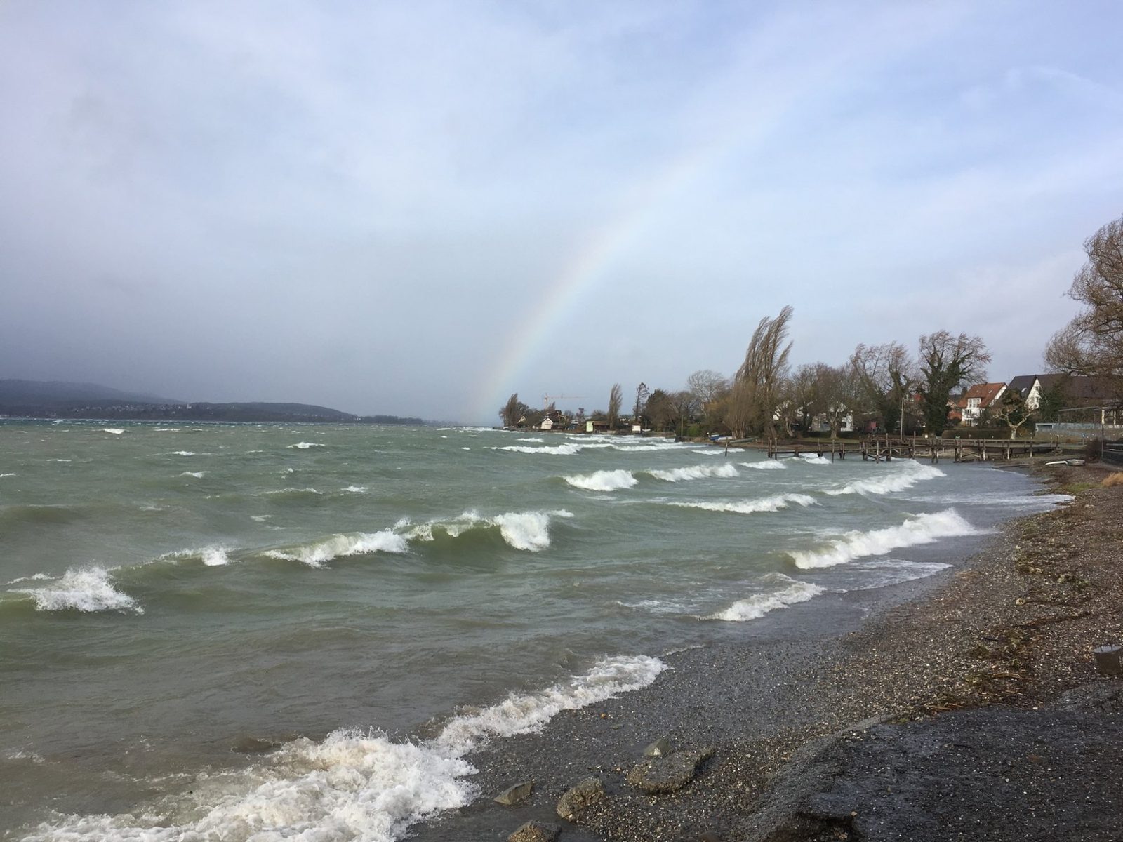 Der Bodensee wird wild